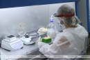 Белорусские вирусологи имеют возможности для обнаружения омикрон-штамма коронавируса