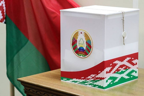 В первый день досрочного голосования участие в выборах Президента Беларуси приняли 4,66% избирателей Могилевской области