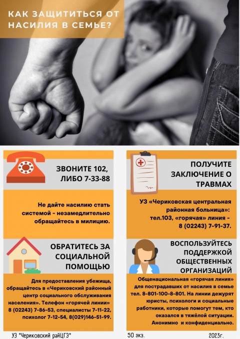 С 13 марта по 14 апреля на территории Чериковского района проводится профилактическая акция «Дом без насилия»
