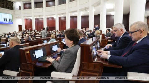 Депутаты приняли во втором чтении законопроект по вопросам деятельности Президента