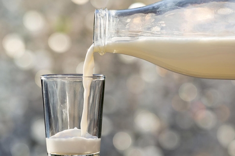 В Беларуси производство молока за пять лет выросло на 11%