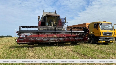 В Могилевской области намолочено 502,7 тыс. т зерновых и зернобобовых культур