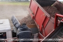 В&nbsp;Беларуси убрали картофель почти с&nbsp;20% площадей