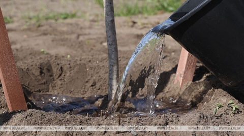 Большие городские субботники пройдут в Могилеве 18 октября и 1 ноября