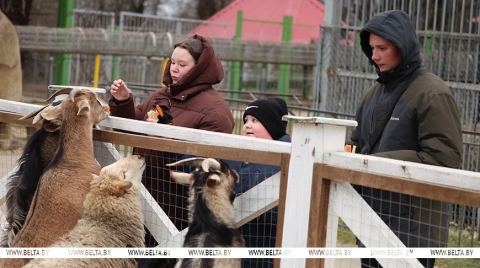Мост между человеком и природой. Как в Могилевском зоосаде соединяют учебу, заботу и новогодние утренники