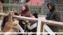 Мост между человеком и природой. Как в Могилевском зоосаде соединяют учебу, заботу и новогодние утренники
