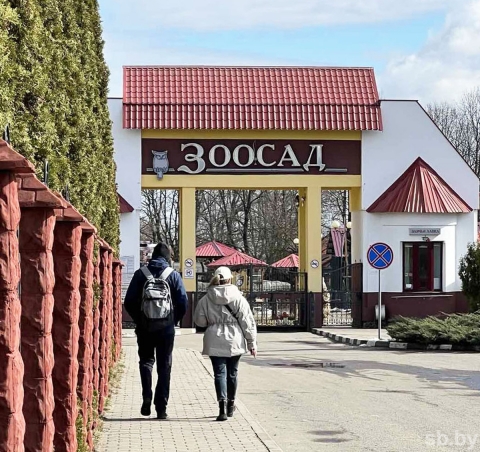 В Могилевском зоосаде идут масштабные строительные работы: в новые вольеры скоро заедут постоянные обитатели
