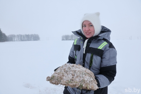 Как снег и морозы помогают перезимовать посевам