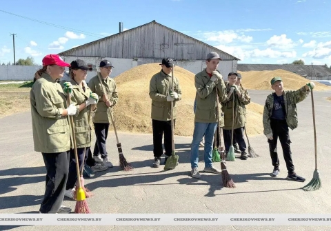 Как работают студотряды в Чериковском районе: итоги мониторинга
