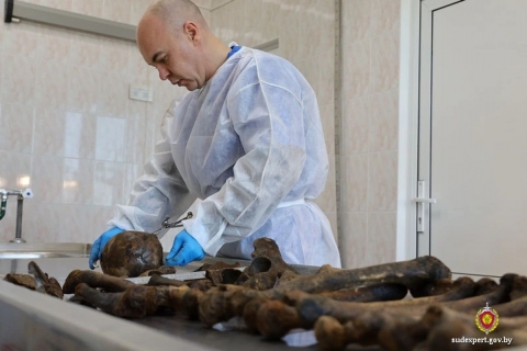 Новые данные о захороненных в Казимировском лесу в годы ВОВ установили могилевские судэксперты