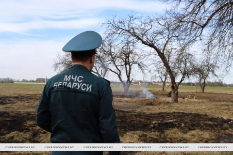 Спичка &ndash; не способ уборки: почему весенние палы травы на Чериковщине грозят пожарами