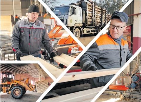 Новая производственная линия в Чериковском лесхозе позволит значительно увеличить выпуск лесоматериалов