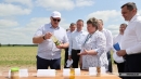 &laquo;Это революция будет на&nbsp;селе&raquo;. На&nbsp;какую сельхозкультуру Лукашенко сделал верную ставку?