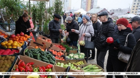&laquo;Овощи прямо с грядки&raquo;. В Могилеве прошла большая сельскохозяйственная ярмарка