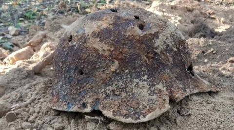 В Казимировском лесу Могилева нашли еще одну расстрельную яму времен ВОВ