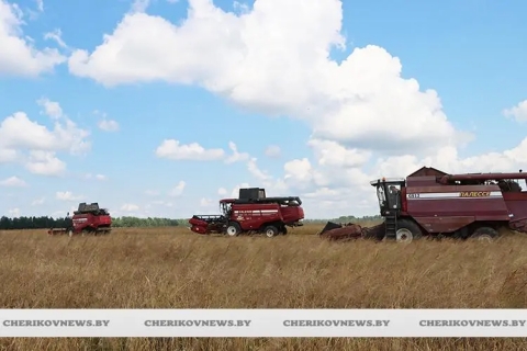 Зерновые культуры на полях Чериковщины обмолочены на 82% площадей