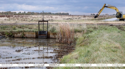 Лукашенко заявил о необходимости менять тактику мелиорации