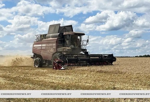 В Могилевской области убрано 59% зерновых и зернобобовых