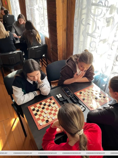 Чериковская молодежь сразилась в турнире по игре на клетчатой доске