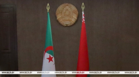 Лукашенко уверен, что Беларусь и Алжир могут вывести взаимодействие на новый стратегический уровень