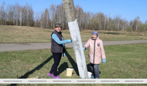 Порядок, комфорт, чистота. Рассказываем, как прошел субботник на Чериковщине