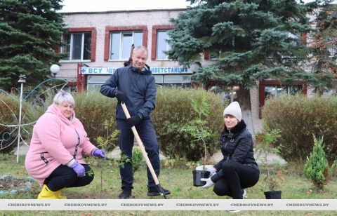 Чтобы Чериков зазеленел! Чериковляне приняли участие в едином дне озеленения