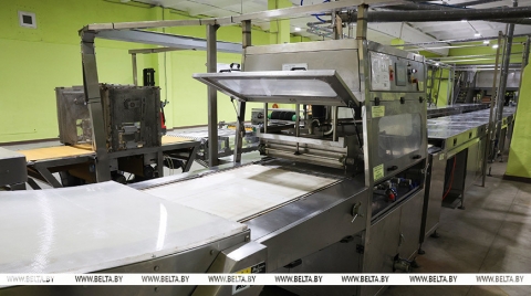 От электростанции до производства протеиновых батончиков. Какие проекты реализуются в Быховском районе