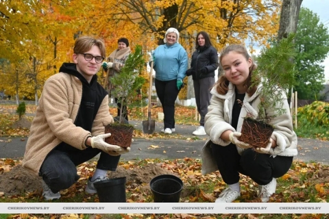 Единый день озеленения: чериковляне внесли свой вклад в сохранение природы родного края