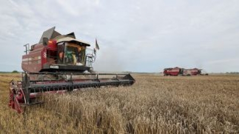 Могилевские аграрии намолотили 913 тыс. тонн зерна