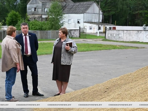 Депутат Палаты представителей Сергей Давыдов ознакомился с ходом уборочной и состоянием торговли в сельской местности