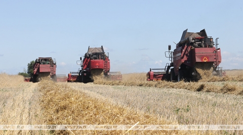 Объем валовой продукции сельского хозяйства по итогам года планируется увеличить на 2-3%