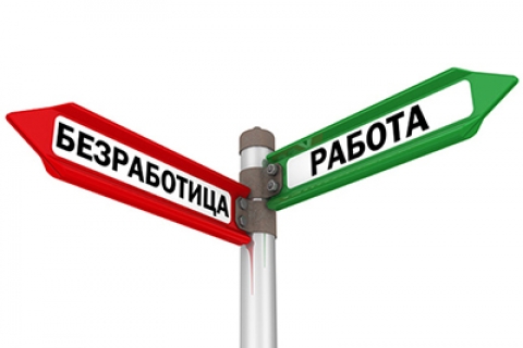 В Могилевской области с 15 по 18 марта пройдут электронные ярмарки вакансий