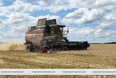 В Чериковском районе обмолочено 58% площадей зерновых культур