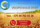 Горячая линия по вопросам уборочной кампании заработала в Могилевской области