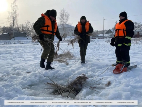 Спасем рыбу от заморов: в Черикове присоединились к республиканской экологической акции