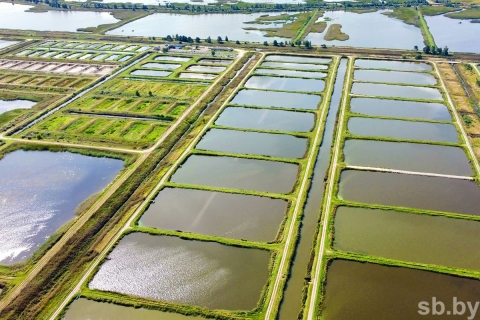 Будем с уловом, будем сыты: как в Беларуси развивается рыбохозяйственная деятельность