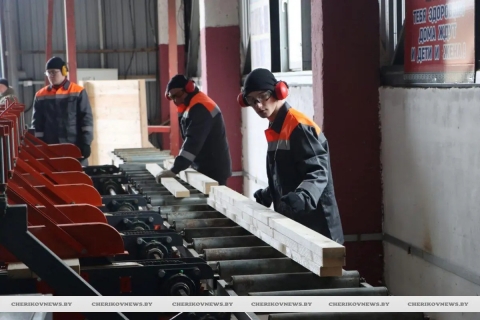 Новая линия лесопиления Чериковского лесхоза начала свою работу