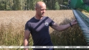 &laquo;Удача улыбается трудолюбивым&raquo;. Сергей Май первым в Могилевской области намолотил 6 тыс. тонн зерна
