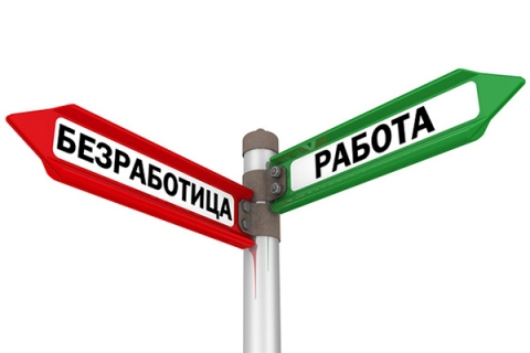 В Могилевской области уменьшилось число территорий с напряженной ситуацией на рынке труда