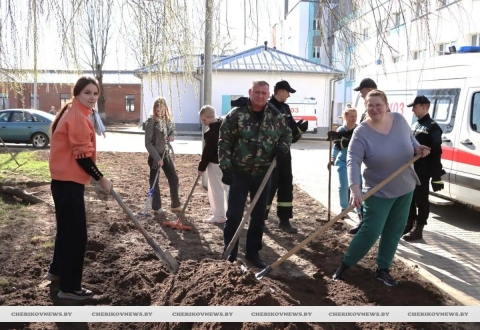 Молодежь Чериковщины присоединилась к субботнику
