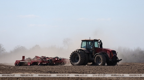 Выборочный сев ярового овса начали в южных районах Могилевской области